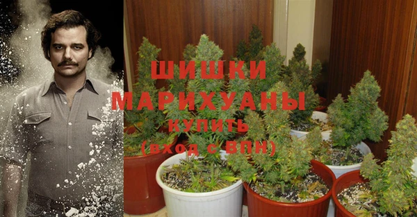 каннабис Каменка