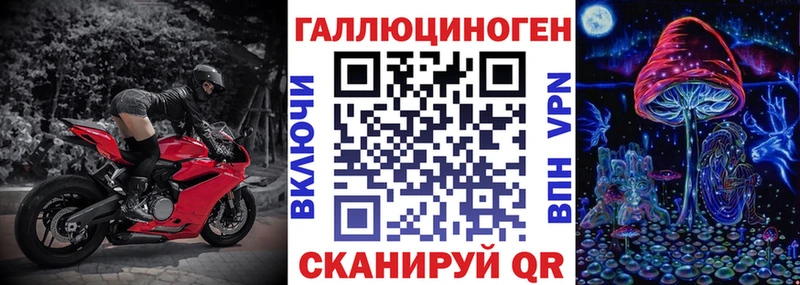 мега вход  Ачхой-Мартан  Псилоцибиновые грибы прущие грибы 